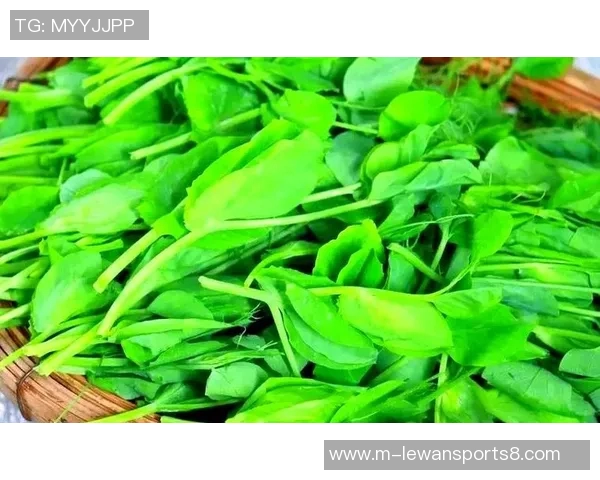 足球脚法的技巧与训练方法解析助你提升球技的全面指南